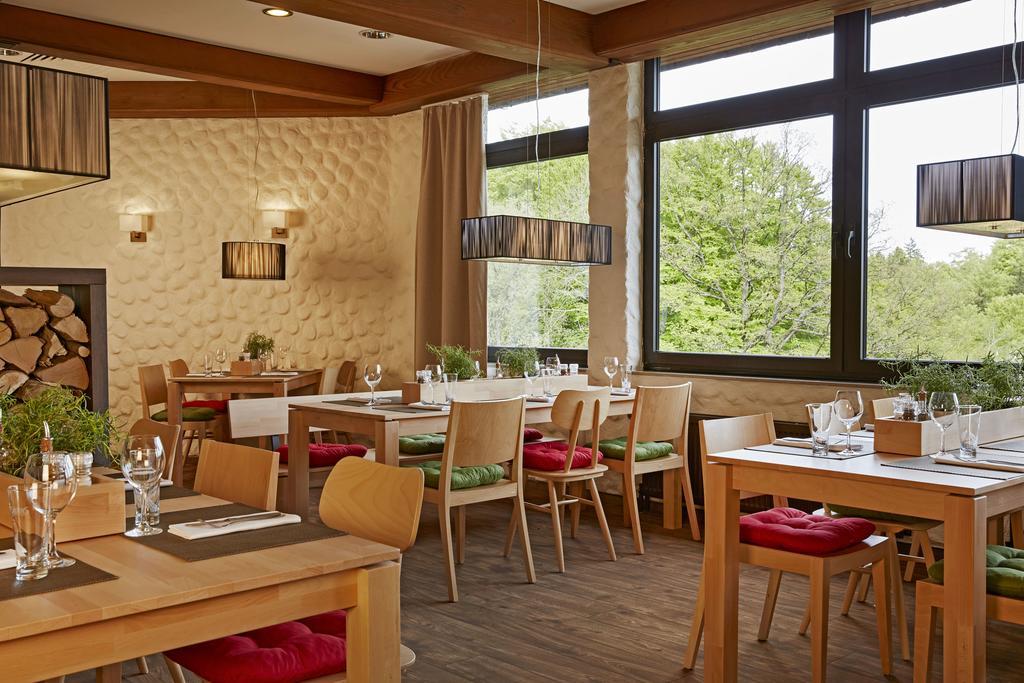 H+ Hotel Willingen Willingen  Exterior foto